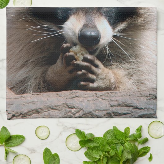 Raccoon 004 geschirrtuch (Gefaltet)