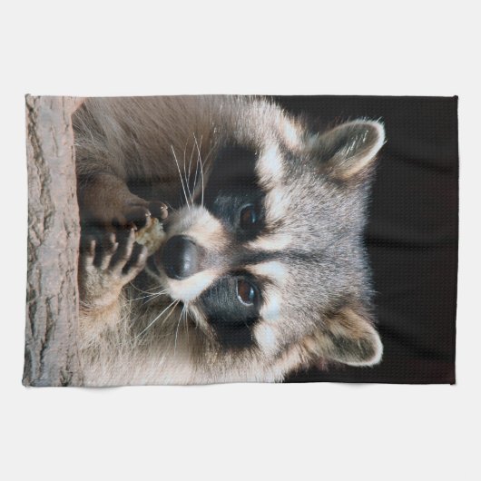 Raccoon 004 geschirrtuch (Horizontal)