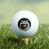 Raccoon 004 golfball (Insitu T-Shirt)