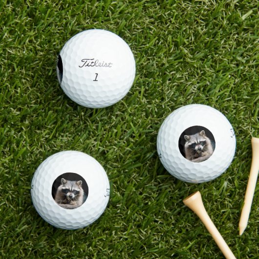Raccoon 004 golfball (Insitu Gras)