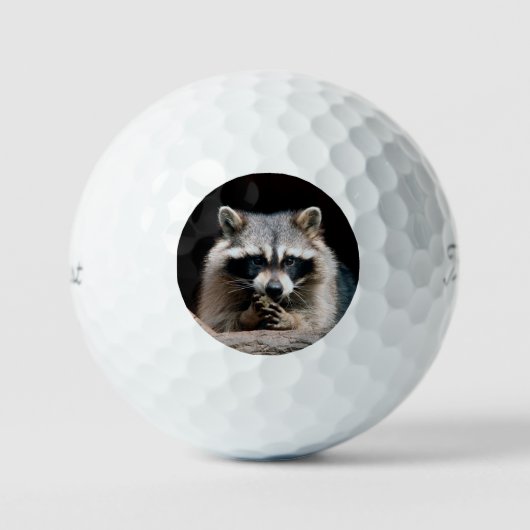 Raccoon 004 golfball (Vorderseite)