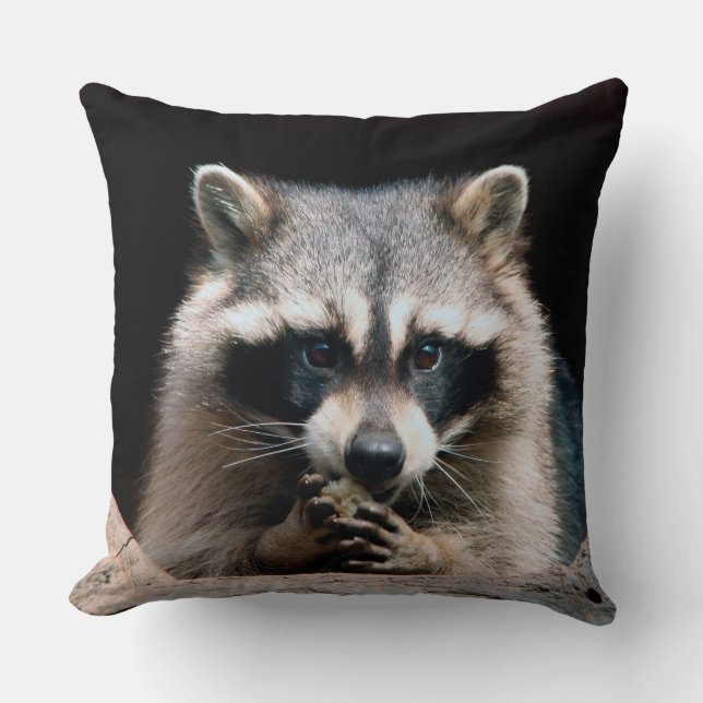 Raccoon 004 kissen (Vorderseite)
