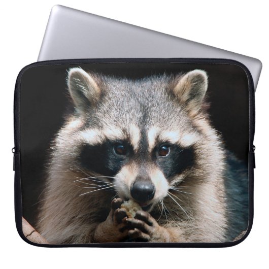 Raccoon 004 laptopschutzhülle (Vorderseite)
