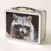 Raccoon 004 metall brotdose (Rückseite)