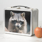 Raccoon 004 metall brotdose (Beispiel)