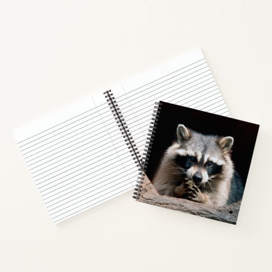 Raccoon 004 notizblock (Innenseite)