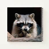 Raccoon 004 notizblock (Rückseite)