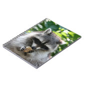 Raccoon 004 notizblock (Linke Seite)