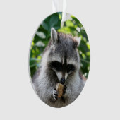 Raccoon 004 ornament (Vorderseite)