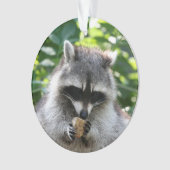 Raccoon 004 ornament (Vorderseite)