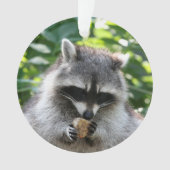 Raccoon 004 ornament (Vorderseite)