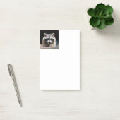 Raccoon 004 post-it klebezettel (Büro)