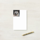 Raccoon 004 post-it klebezettel (Auf Schreibtisch)