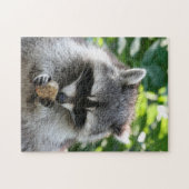Raccoon 004 puzzle (Horizontal)