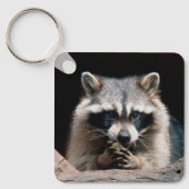 Raccoon 004 schlüsselanhänger (Vorderseite)