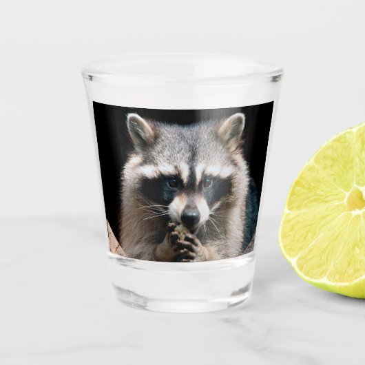 Raccoon 004 schnapsglas (Vorderseite)