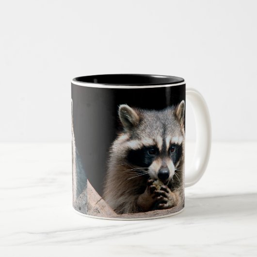 Raccoon 004 zweifarbige tasse (VorderseiteRechts)
