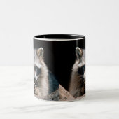 Raccoon 004 zweifarbige tasse (Mittel)