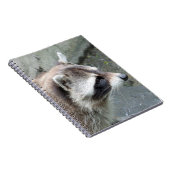 Raccoon_2015_0101 Notizblock (Rechte Seite)