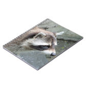 Raccoon_2015_0101 Notizblock (Linke Seite)