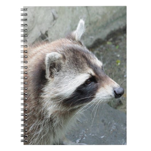Raccoon_2015_0101 Notizblock (Vorderseite)
