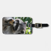 Raccoon_2015_0116 Gepäckanhänger (Vorderseite horizontal)