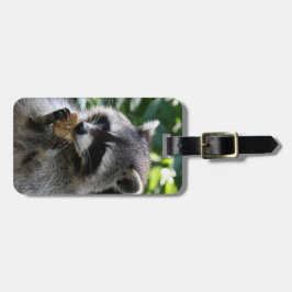 Raccoon_2015_0116 Gepäckanhänger