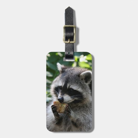 Raccoon_2015_0116 Gepäckanhänger (Vorderseite vertikal)