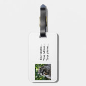 Raccoon_2015_0116 Gepäckanhänger (Rückseite vertikal)