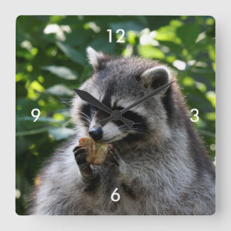 Raccoon_2015_0116 Quadratische Wanduhr