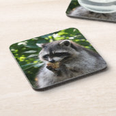 Raccoon_2015_0116 Untersetzer (Linke Seite)