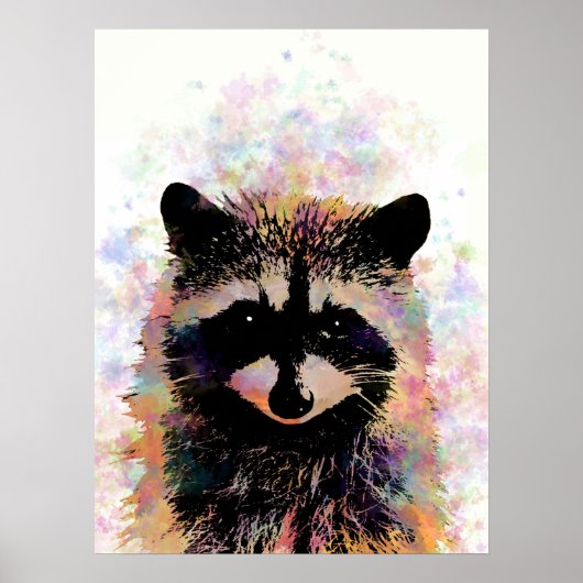 Raccoon 27 poster (Vorne)