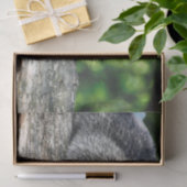 Raccoon-2-Gewebepapier Seidenpapier (Geschenk)