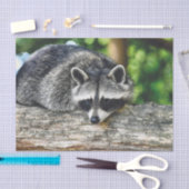 Raccoon-2-Gewebepapier Seidenpapier (Handwerk)