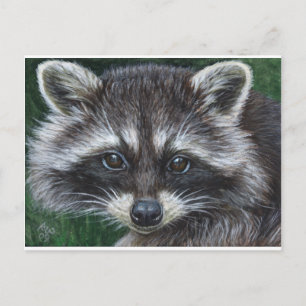 Raccoon #3 postkarte