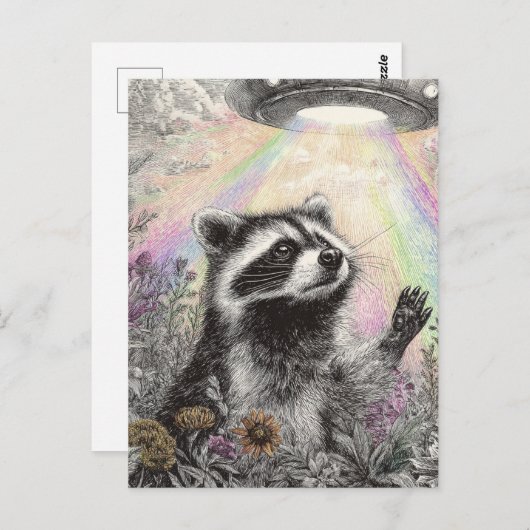 Raccoon and a UFO Postkarte (Vorne/Hinten)