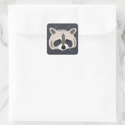 Raccoon Aufkleber (Tasche)