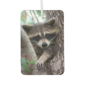 Raccoon Autolufterfrischer (Vorderseite)