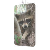 Raccoon Autolufterfrischer (Links)