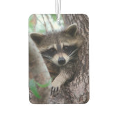 Raccoon Autolufterfrischer (Rückseite)