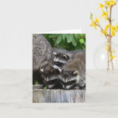 Raccoon Babies! Karte (Gelbe Blume)