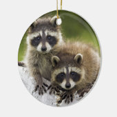 Raccoon Babies Keramikornament (Links)