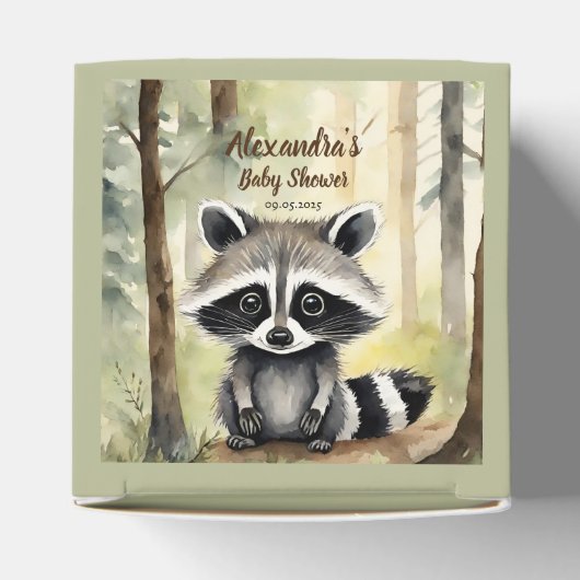 Raccoon Baby Neutral Baby Dusche Geschenkschachtel (Oben)