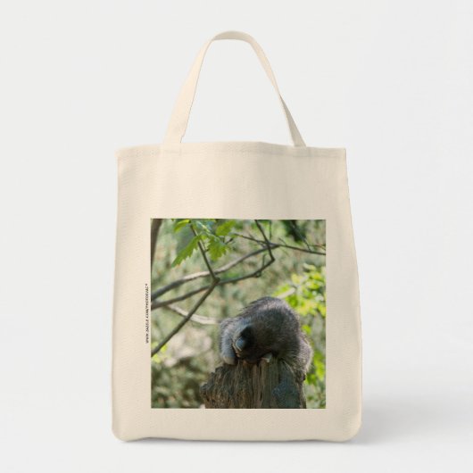 Raccoon Bag Tragetasche (Vorne)