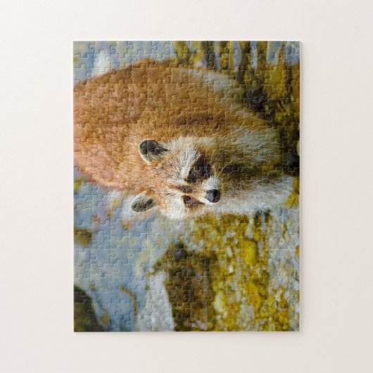 Raccoon Bears. Puzzle (Vertikal)