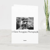 Raccoon Belated Geburtstag Karte (Rückseite)