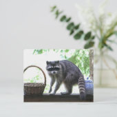 Raccoon-Bild Postkarte (Stehend Vorderseite)