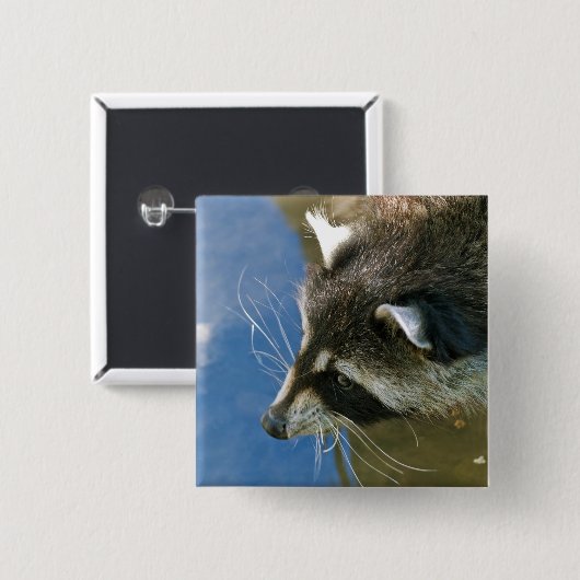 Raccoon Button (Vorne & Hinten)