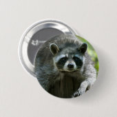Raccoon Button (Vorne & Hinten)