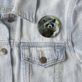 Raccoon Button (Beispiel)